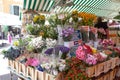 Europe Southern France Nice CÃÂ´te dÃ¢â¬â¢Azur Cours Saleya Provence Fresh Colorful French Flower Bouquet Farmers Market Floral Gifts